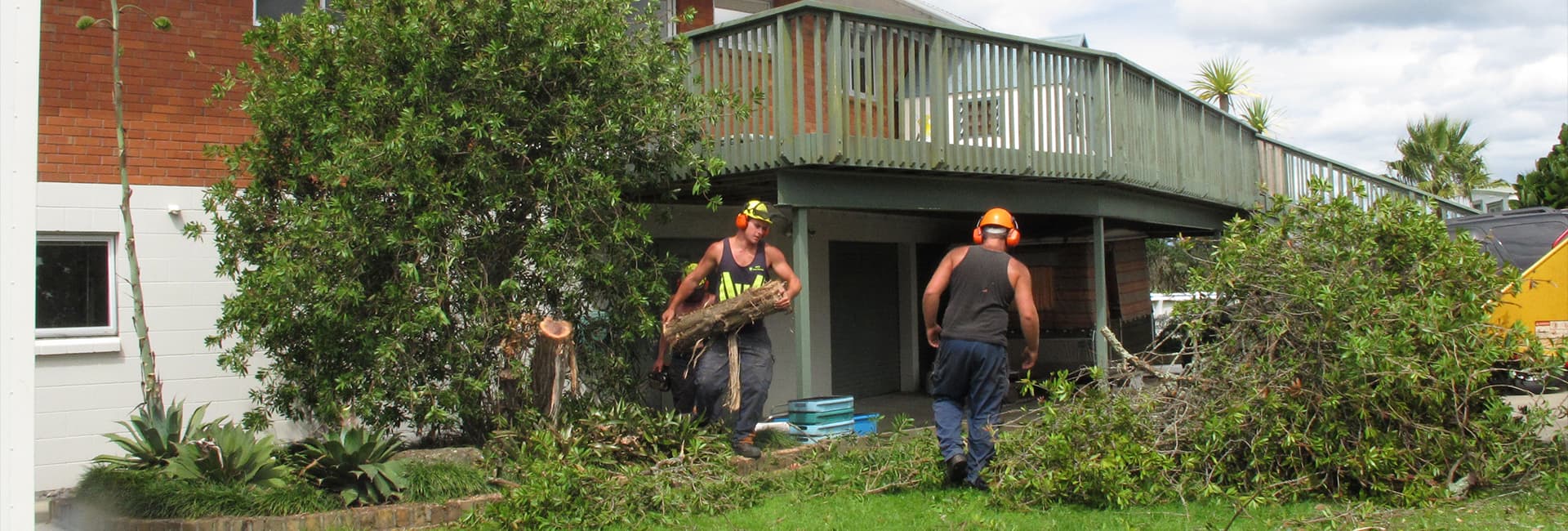 Tree Pruning