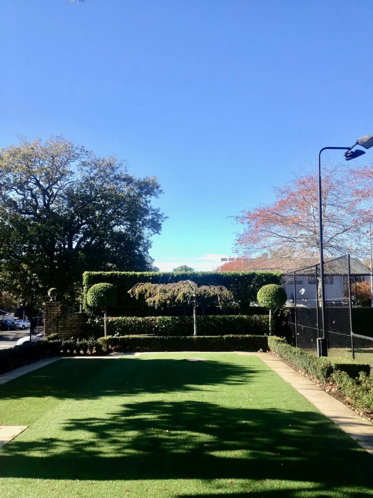 The garden after tree removal and clean-up, with an open lawn