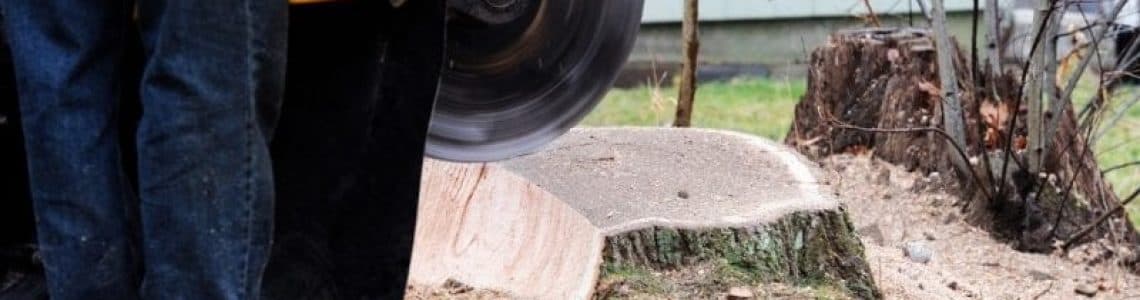 Stump Grinding by Heaven Contracting