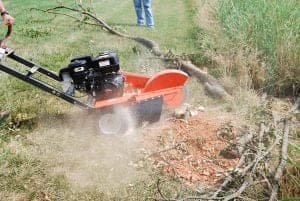 Stump Grinding Services | Heaven Contracting